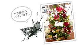 いけまぜアトリエさんからのお花